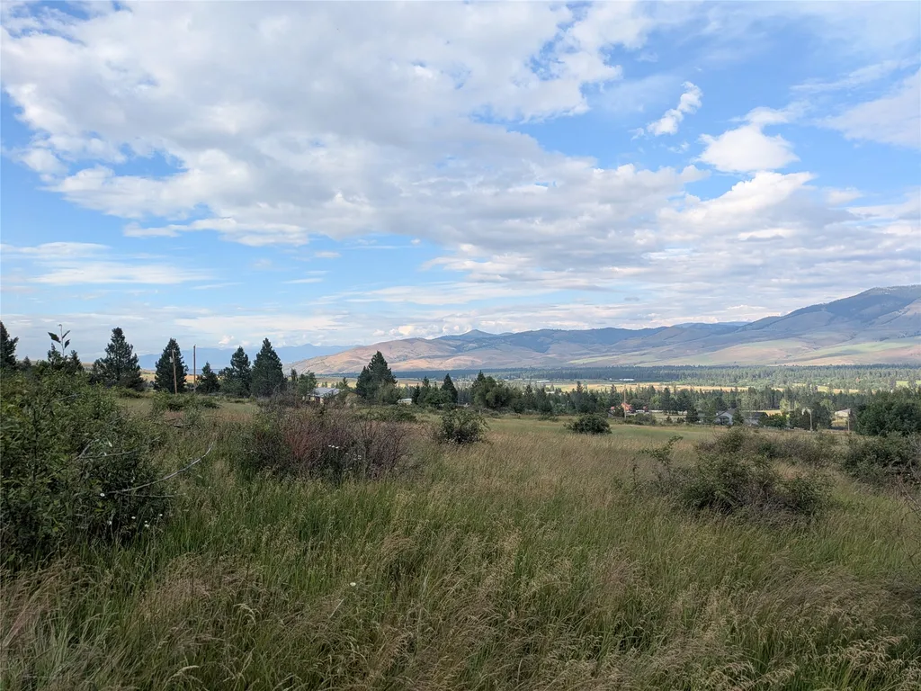 Nhn W Carlton Creek Road Florence MT 59833