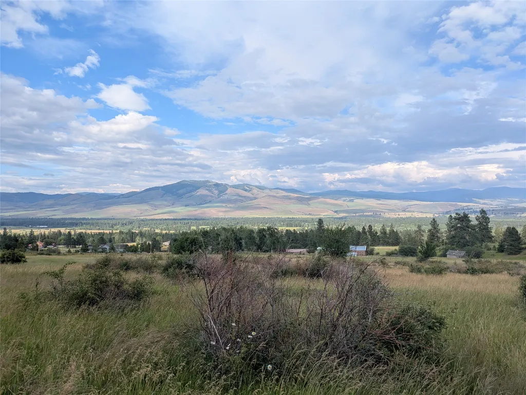 Nhn W Carlton Creek Road Florence MT 59833