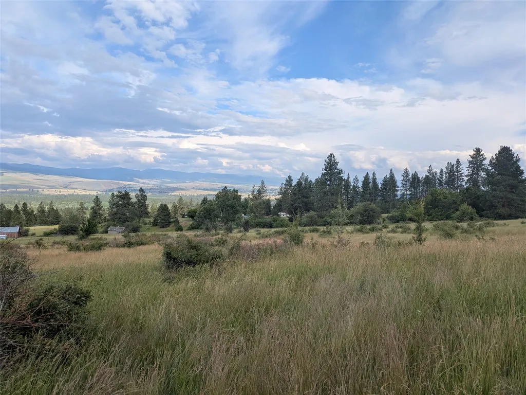 Nhn W Carlton Creek Road Florence MT 59833