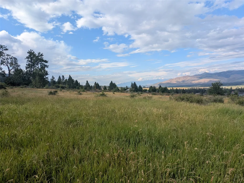 Nhn W Carlton Creek Road Florence MT 59833