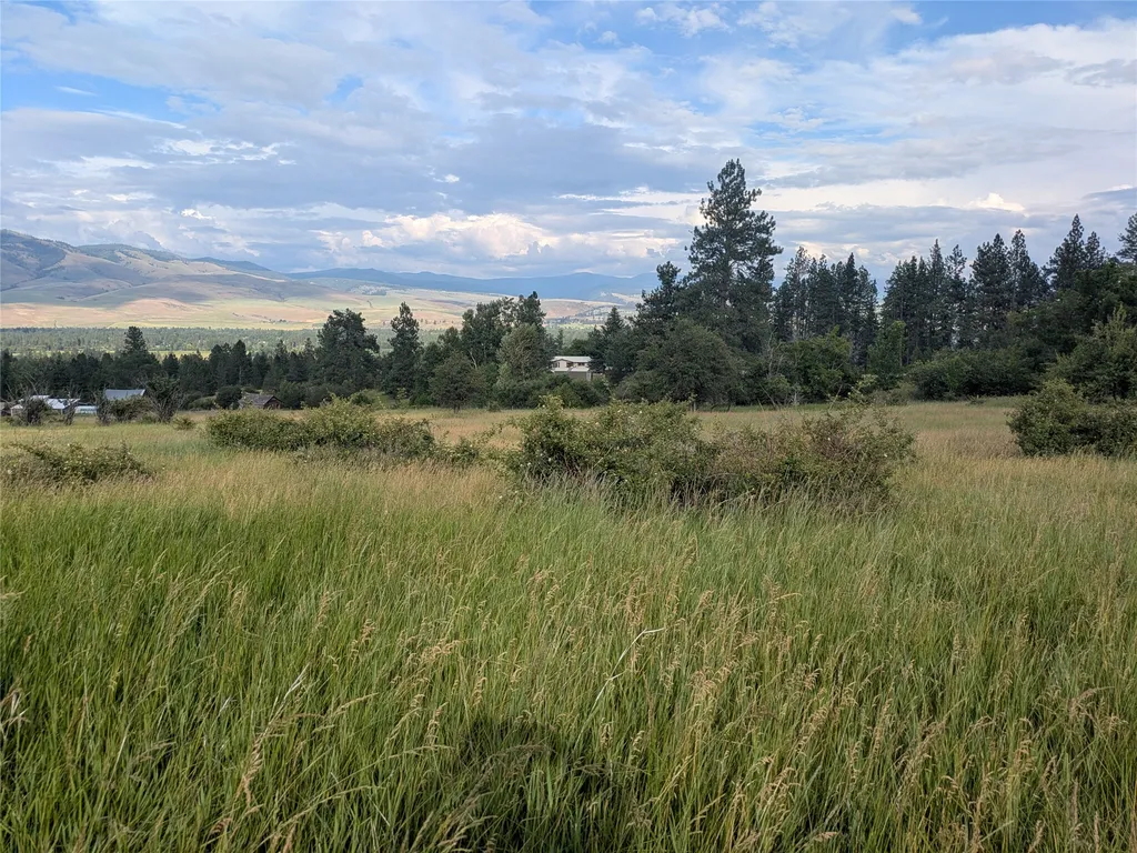Nhn W Carlton Creek Road Florence MT 59833
