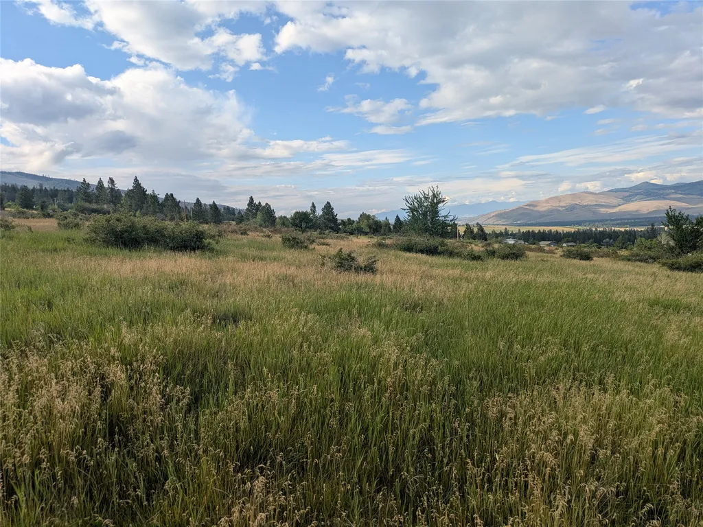 Nhn W Carlton Creek Road Florence MT 59833