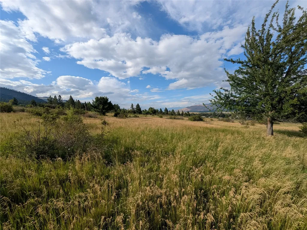 Nhn W Carlton Creek Road Florence MT 59833