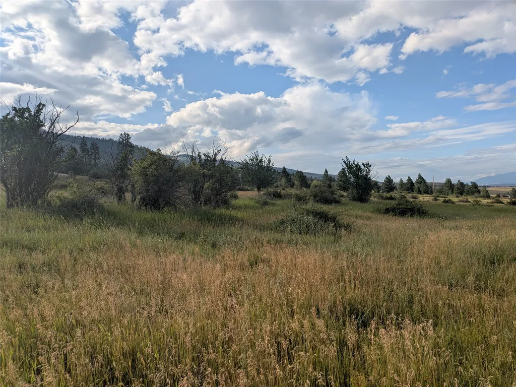 Nhn W Carlton Creek Road Florence MT 59833