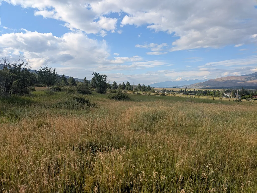 Nhn W Carlton Creek Road Florence MT 59833