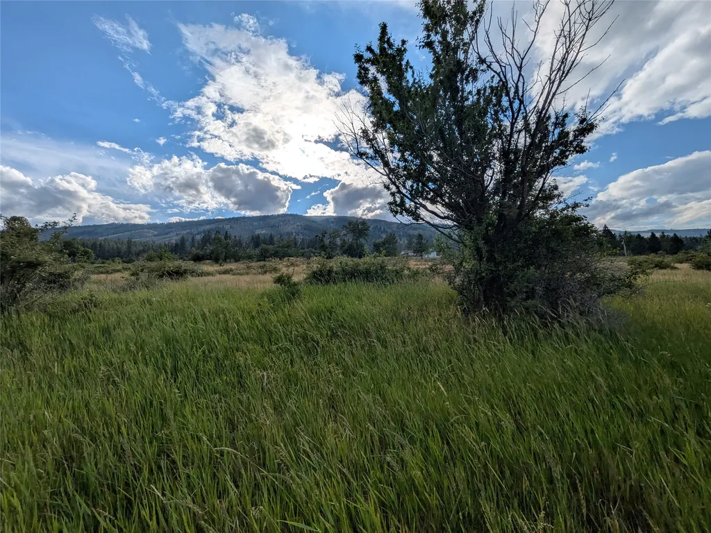 Nhn W Carlton Creek Road Florence MT 59833