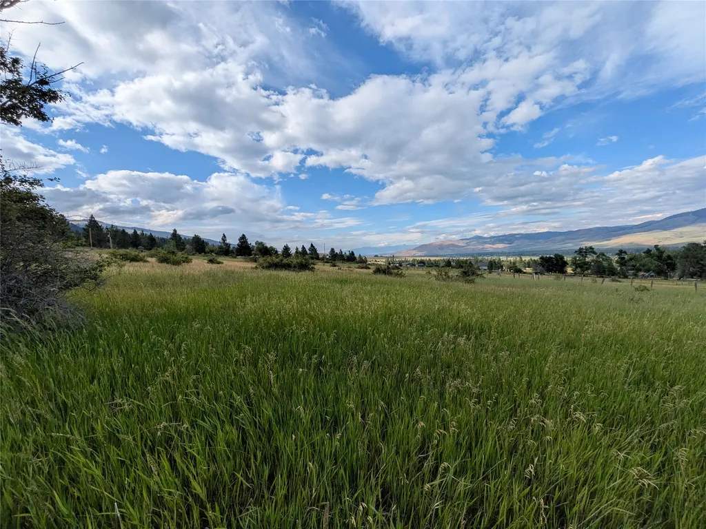 Nhn W Carlton Creek Road Florence MT 59833
