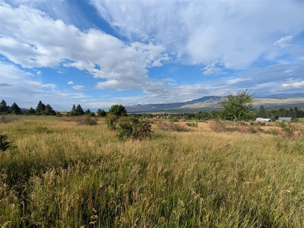 Nhn W Carlton Creek Road Florence MT 59833