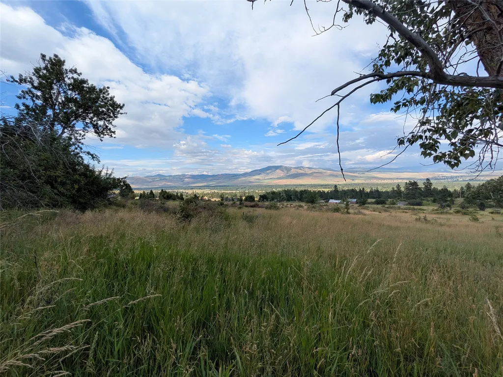 Nhn W Carlton Creek Road Florence MT 59833