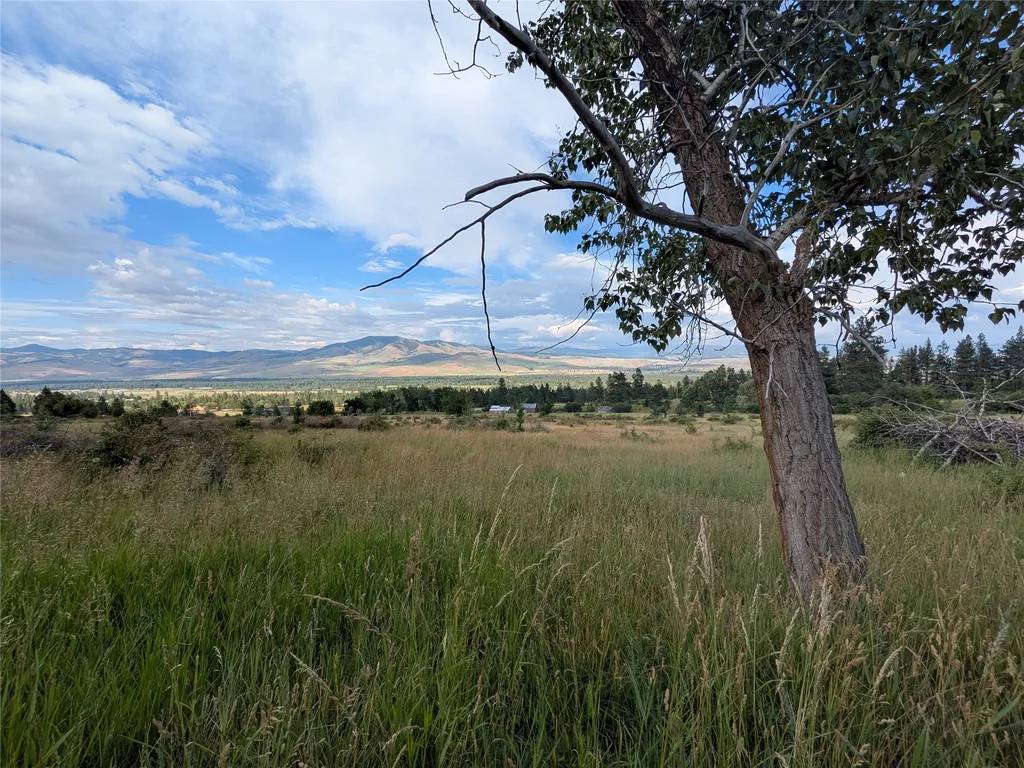 Nhn W Carlton Creek Road Florence MT 59833