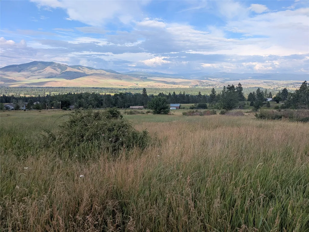 Nhn W Carlton Creek Road Florence MT 59833