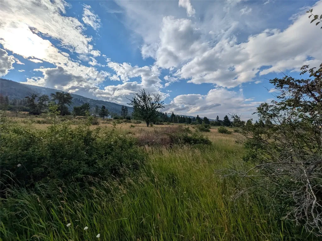 Nhn W Carlton Creek Road Florence MT 59833