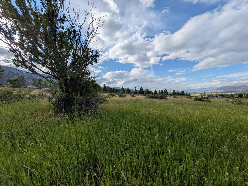 Nhn W Carlton Creek Road Florence MT 59833