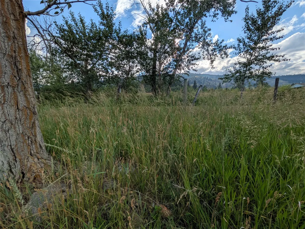 Nhn W Carlton Creek Road Florence MT 59833