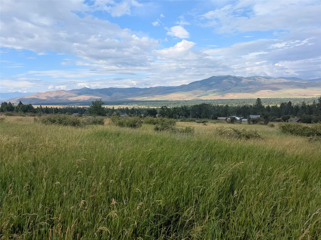 Nhn W Carlton Creek Road Florence MT 59833