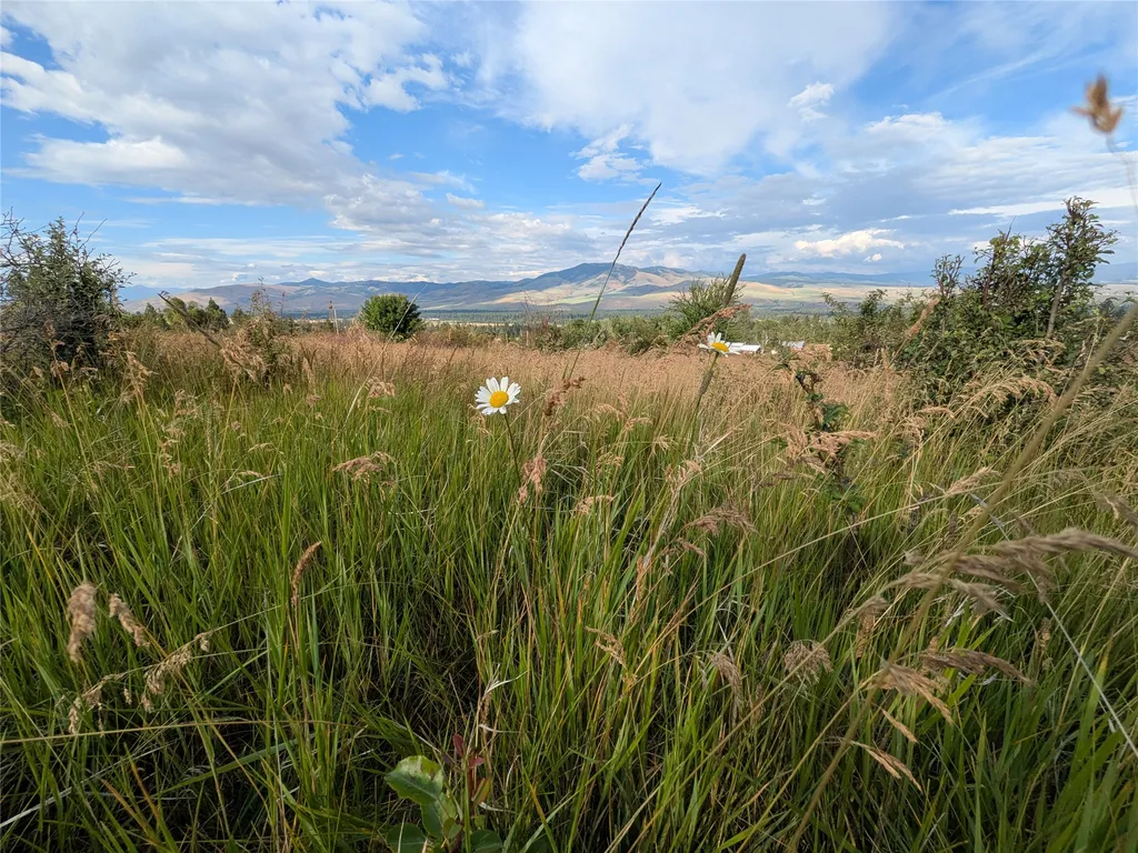 Nhn W Carlton Creek Road Florence MT 59833