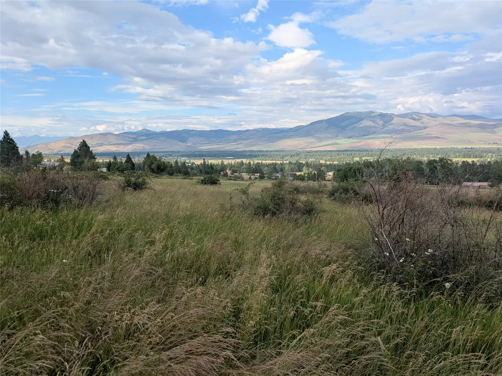 Nhn W Carlton Creek Road Florence MT 59833