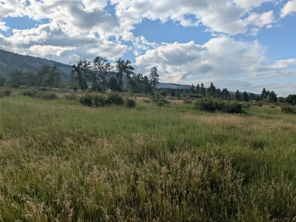 Nhn W Carlton Creek Road Florence MT 59833