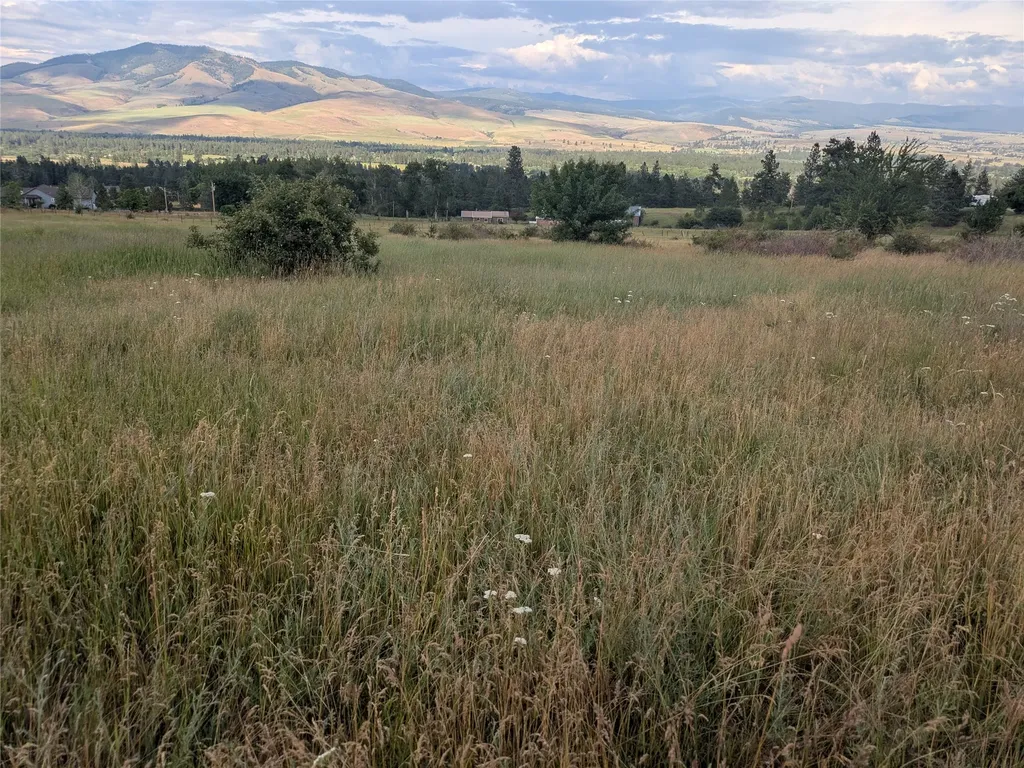 Nhn W Carlton Creek Road Florence MT 59833