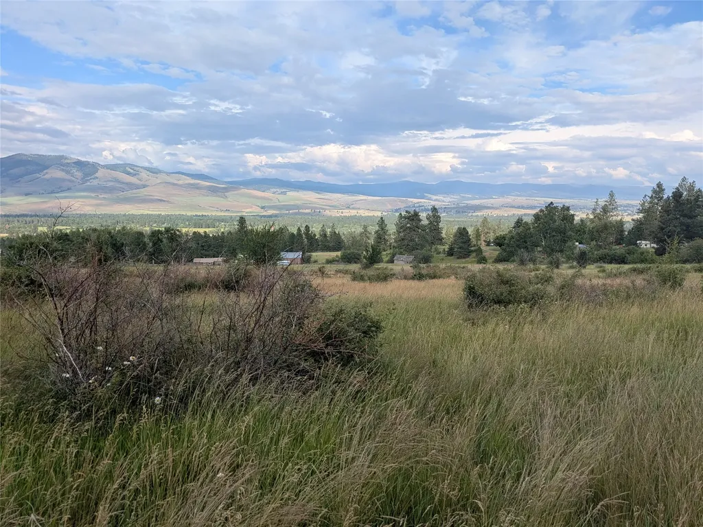 Nhn W Carlton Creek Road Florence MT 59833