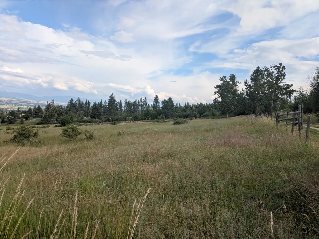 Nhn W Carlton Creek Road Florence MT 59833