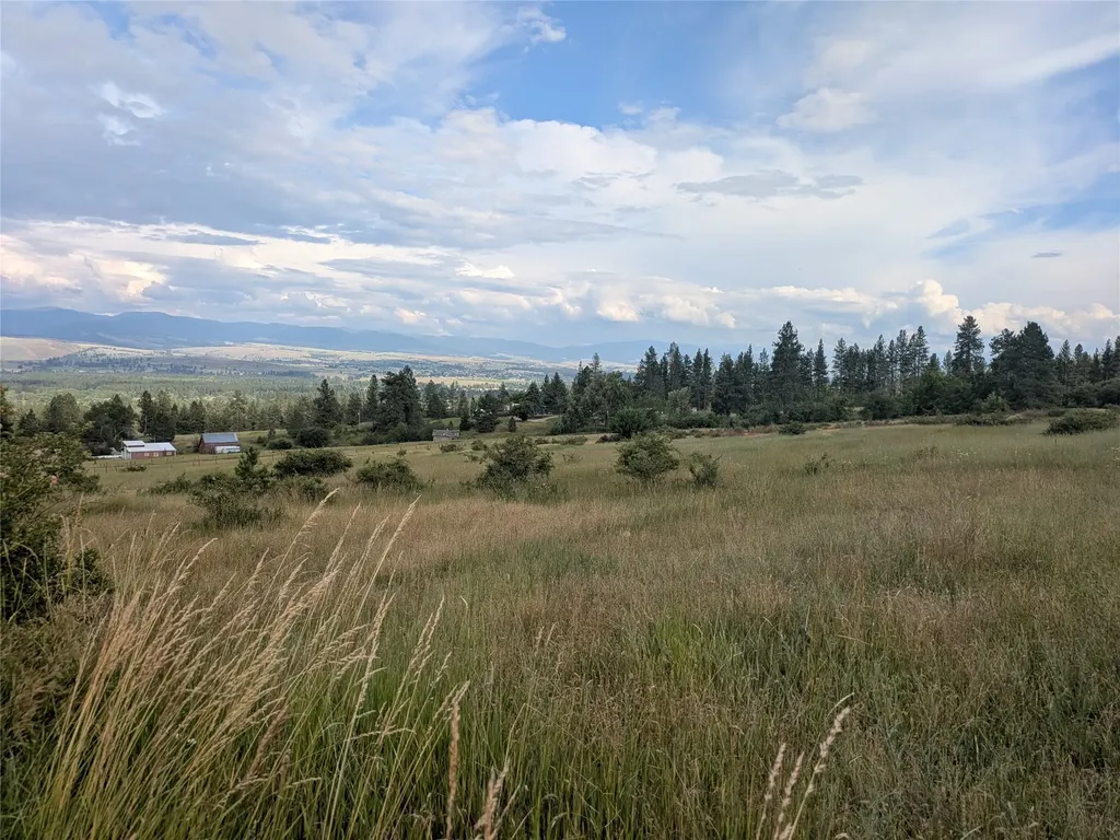 Nhn W Carlton Creek Road Florence MT 59833