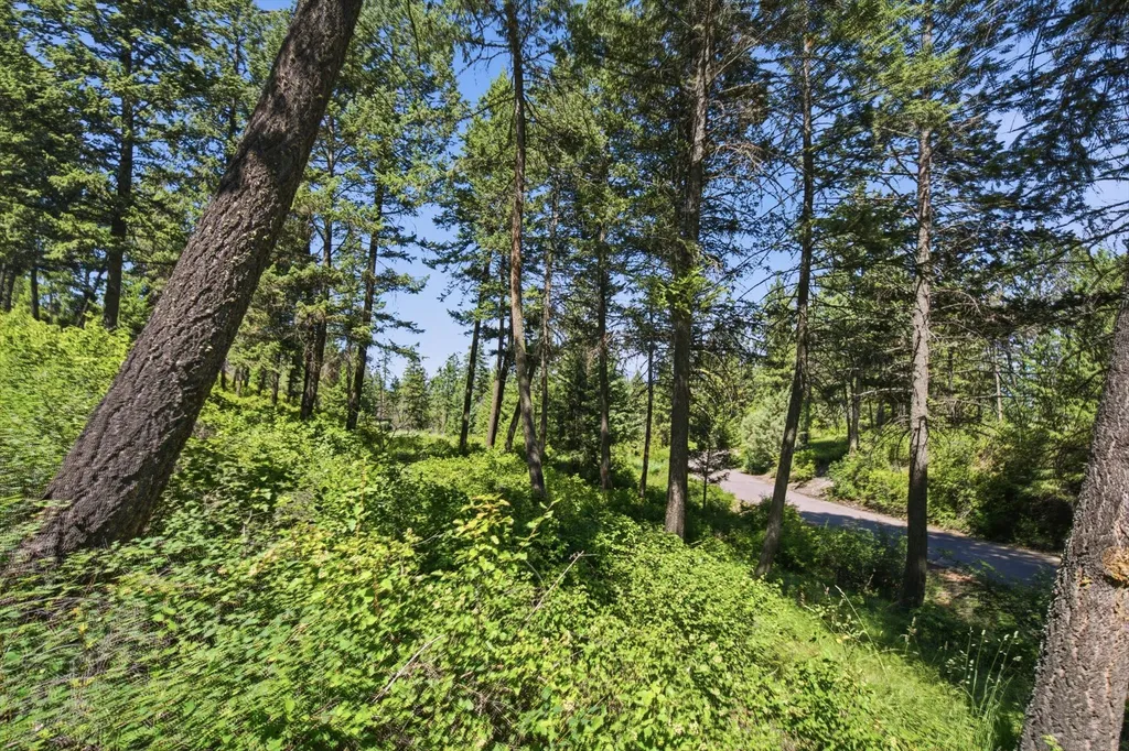 131 Valley Vista Drive Somers MT 59932