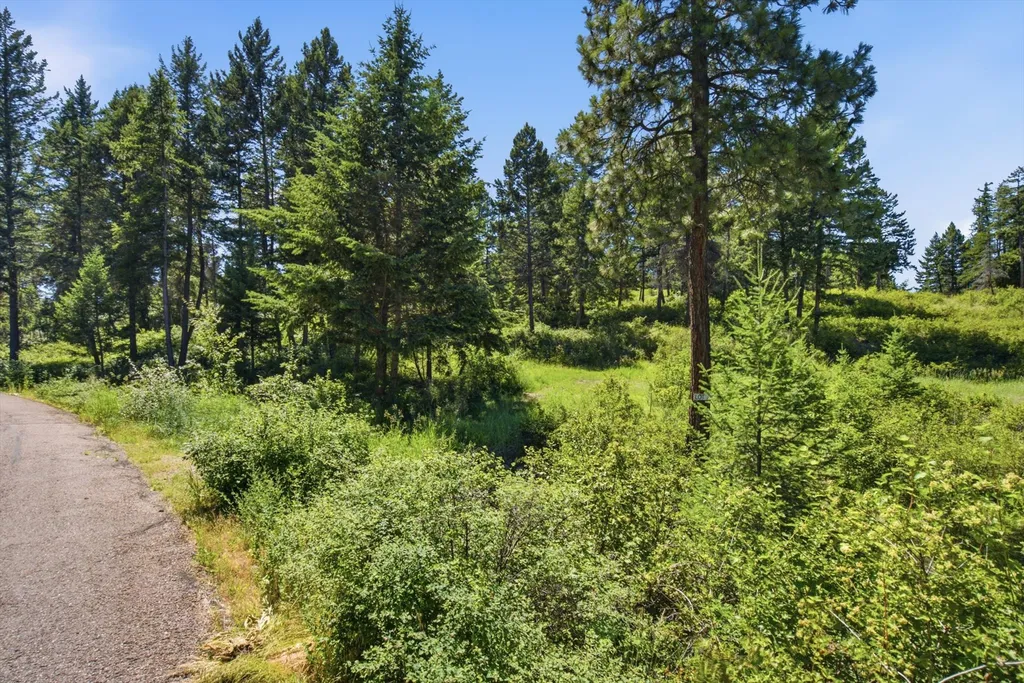 131 Valley Vista Drive Somers MT 59932