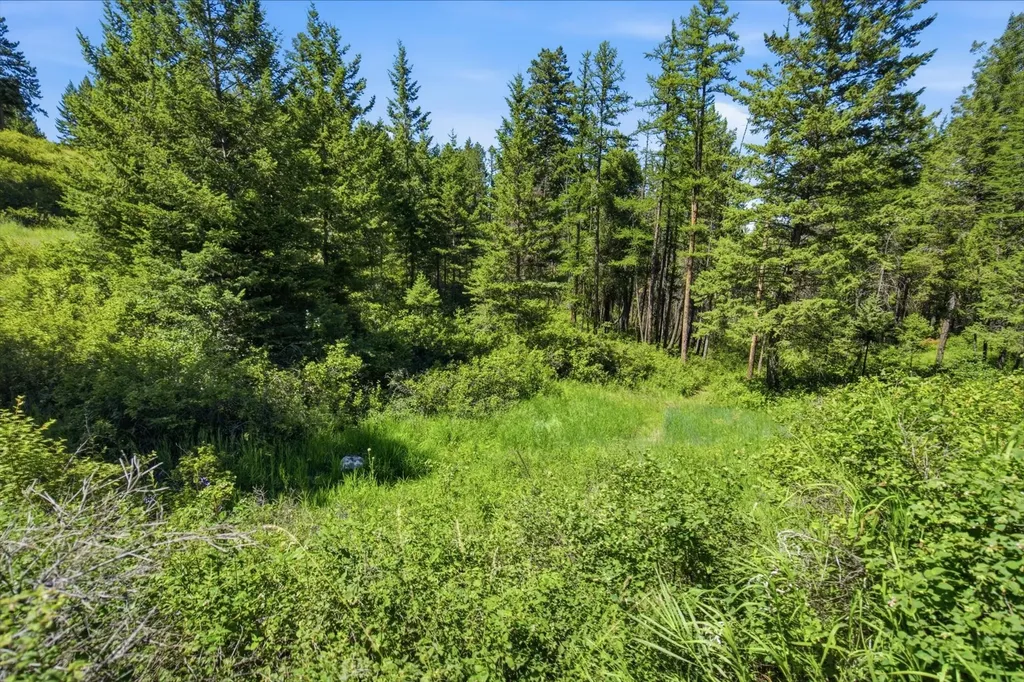 131 Valley Vista Drive Somers MT 59932