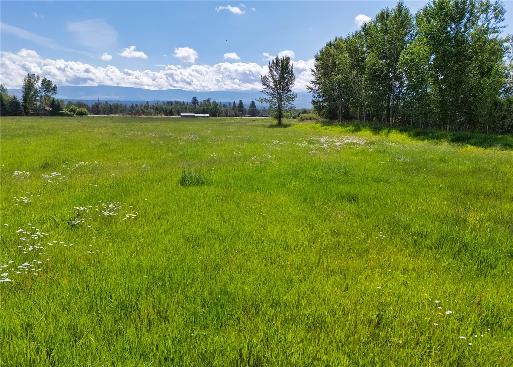 Nhn Mittower Road Victor MT 59875