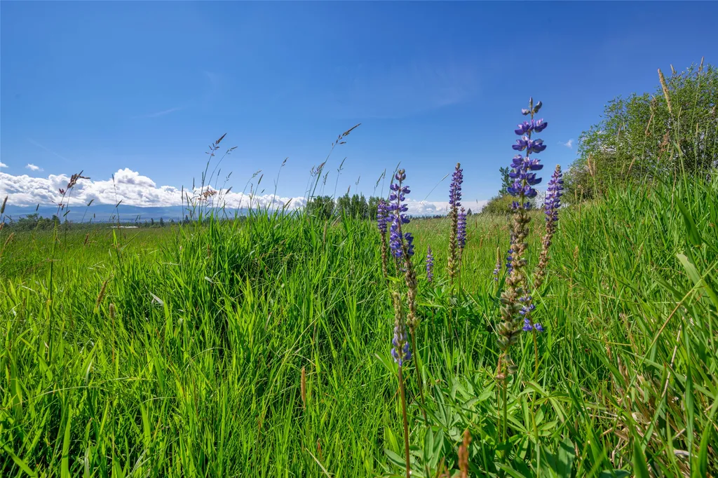 Nhn Mittower Road Victor MT 59875