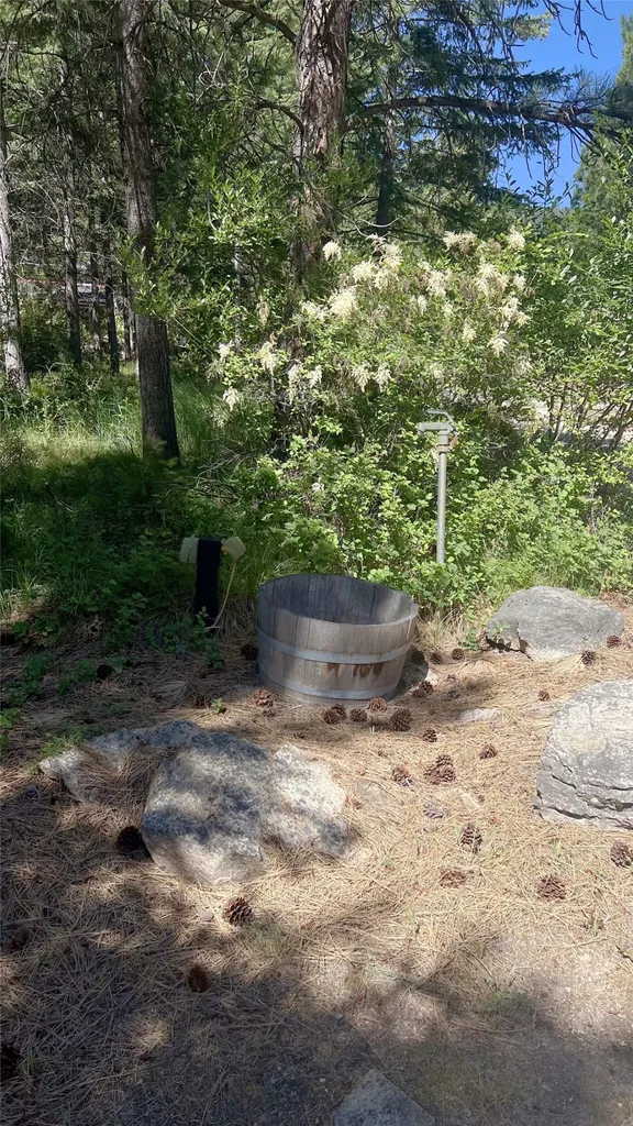 1666 Bear Face Road Victor MT 59875