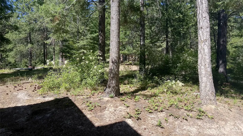 1666 Bear Face Road Victor MT 59875