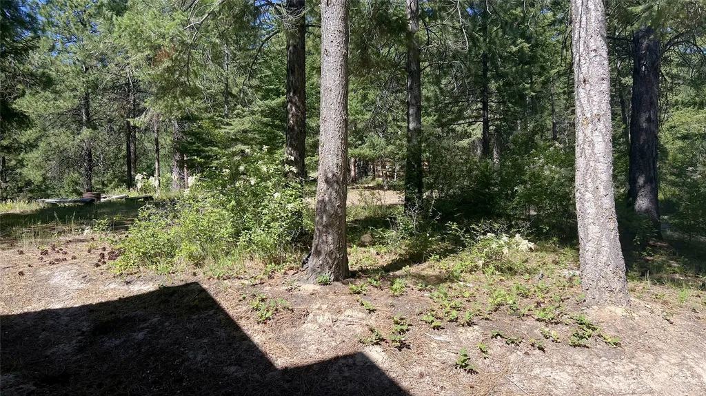 1666 Bear Face Road Victor MT 59875