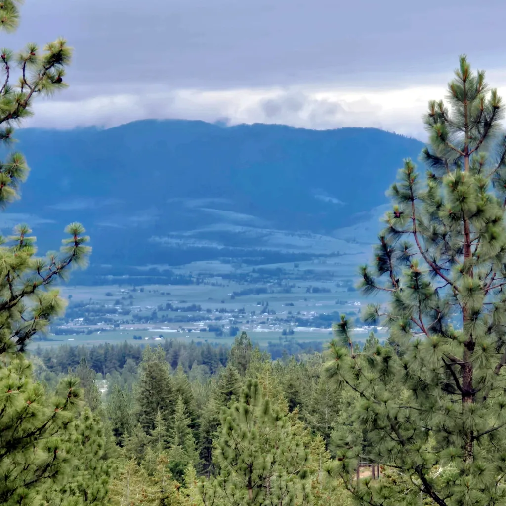 1666 Bear Face Road Victor MT 59875