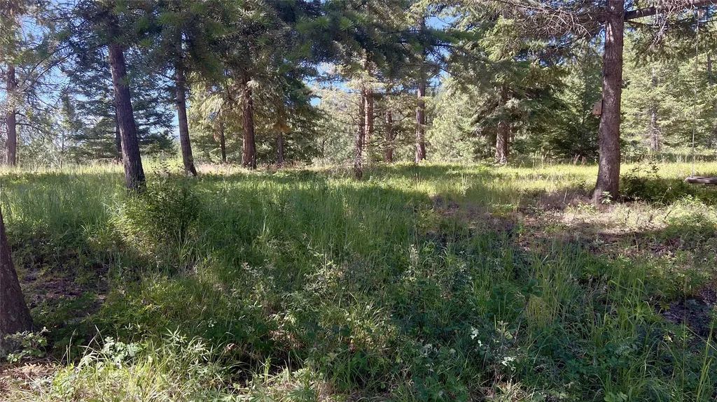 1666 Bear Face Road Victor MT 59875