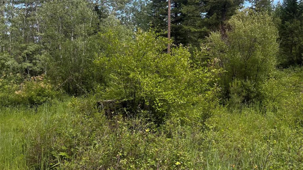 1666 Bear Face Road Victor MT 59875
