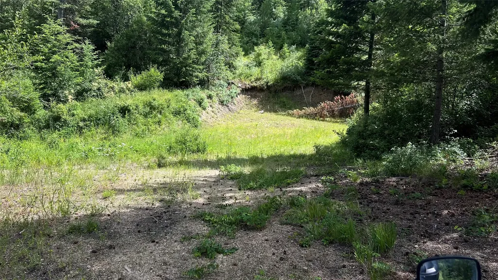 1666 Bear Face Road Victor MT 59875