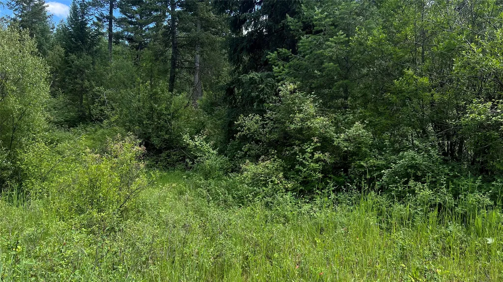 1666 Bear Face Road Victor MT 59875