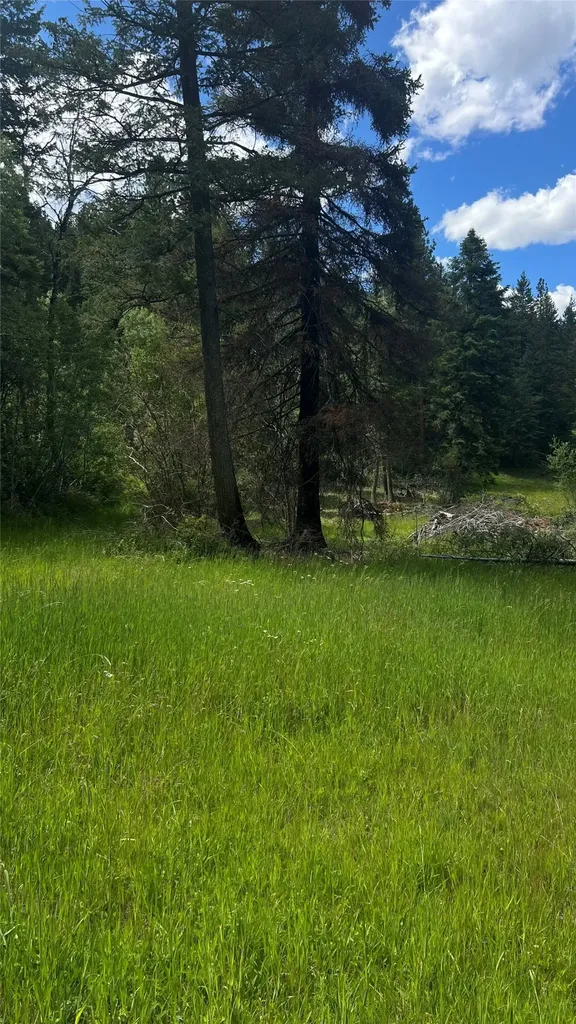 1666 Bear Face Road Victor MT 59875