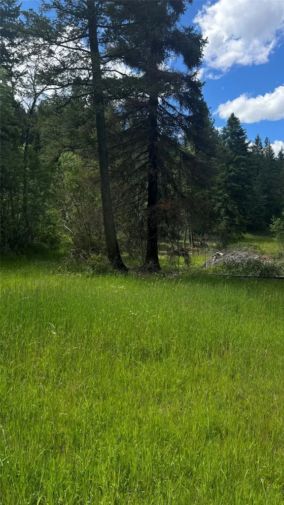 1666 Bear Face Road Victor MT 59875