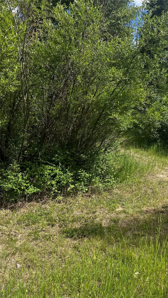 1666 Bear Face Road Victor MT 59875