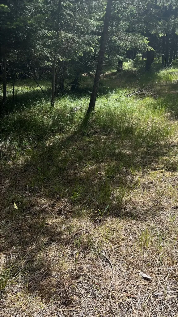 1666 Bear Face Road Victor MT 59875