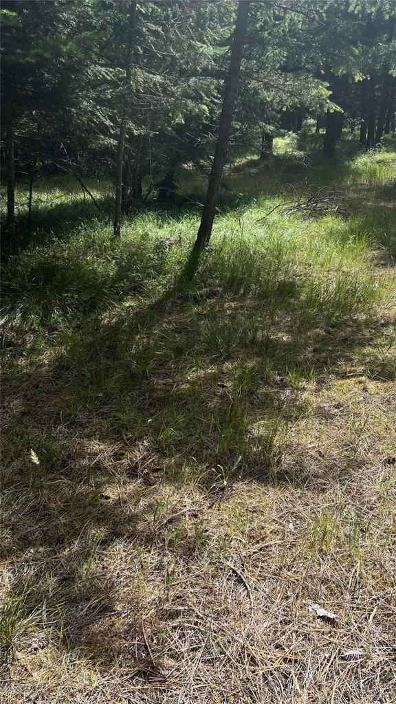 1666 Bear Face Road Victor MT 59875