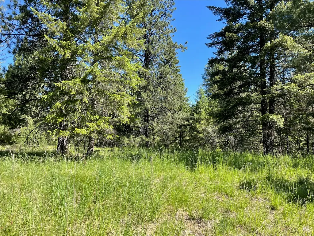 Nhn S Shore Drive Trout Creek MT 59874