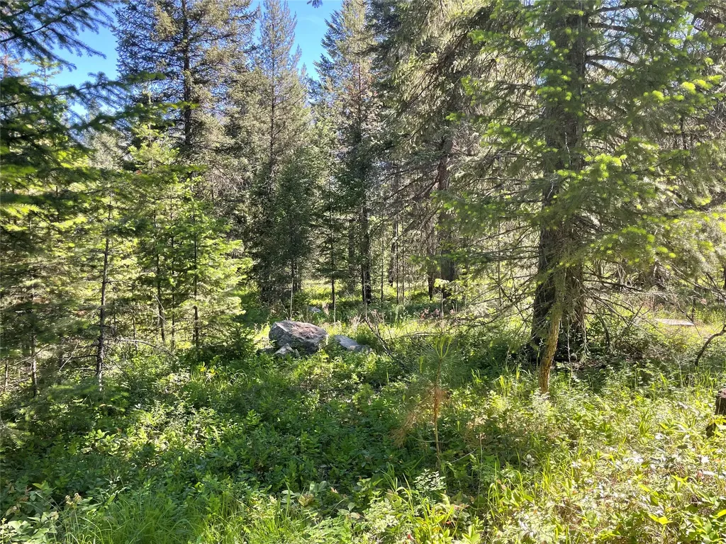 Nhn S Shore Drive Trout Creek MT 59874