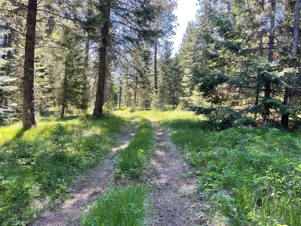 Nhn S Shore Drive Trout Creek MT 59874