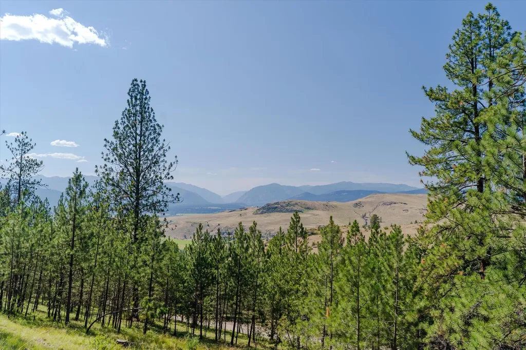 18 Lookout Lane Plains MT 59859
