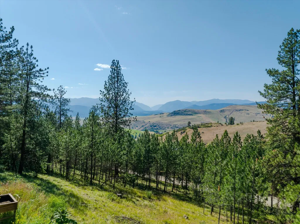 18 Lookout Lane Plains MT 59859