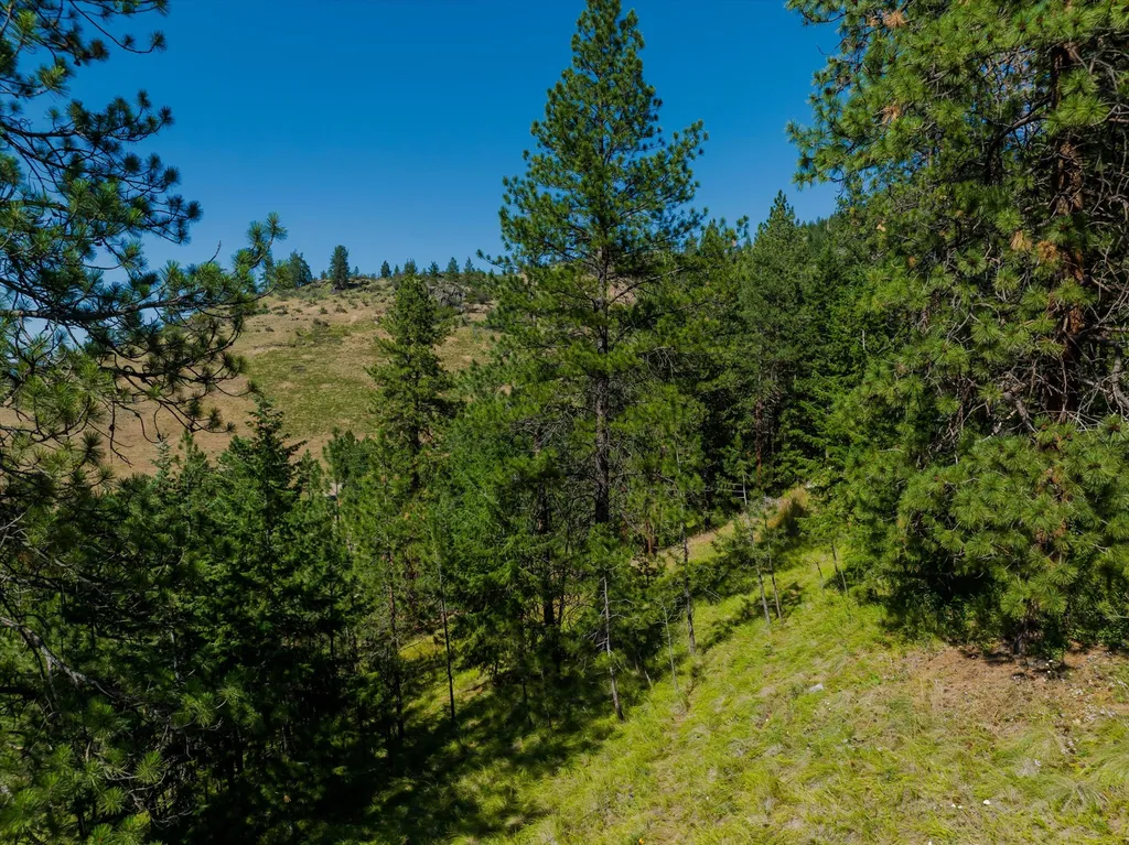 18 Lookout Lane Plains MT 59859